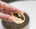 Perishable - Gourmet French Cocktail Blini