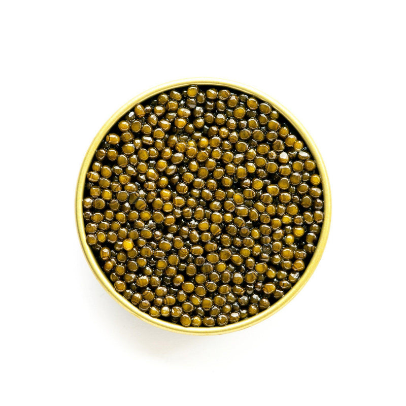Imperial Golden Osetra