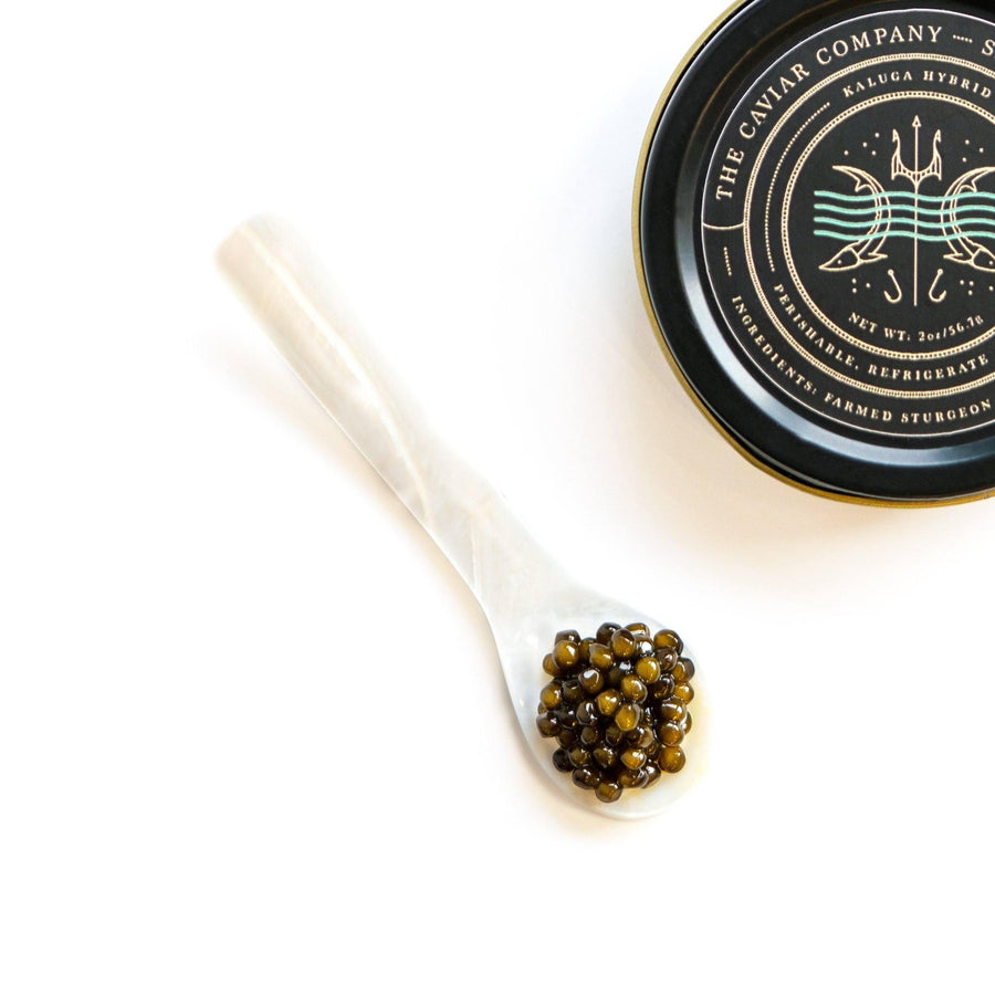 Kaluga Hybrid Caviar